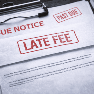 Late Fee - Annual Report